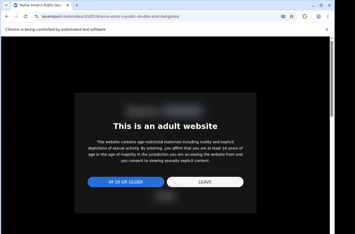 Severeporn Video Downloader browser extension screenshot 2