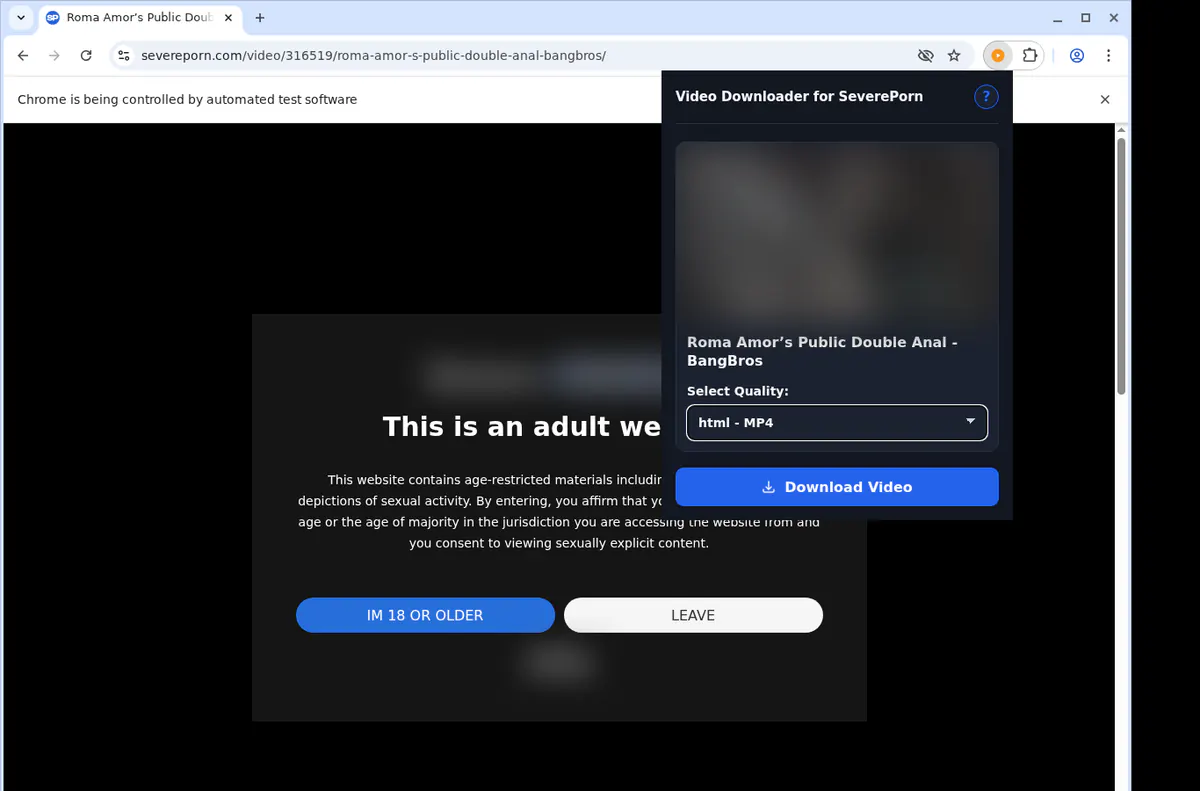 Severeporn Video Downloader browser extension screenshot 3