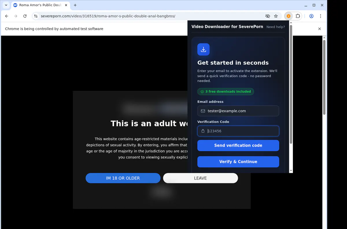 Severeporn Video Downloader browser extension screenshot 4
