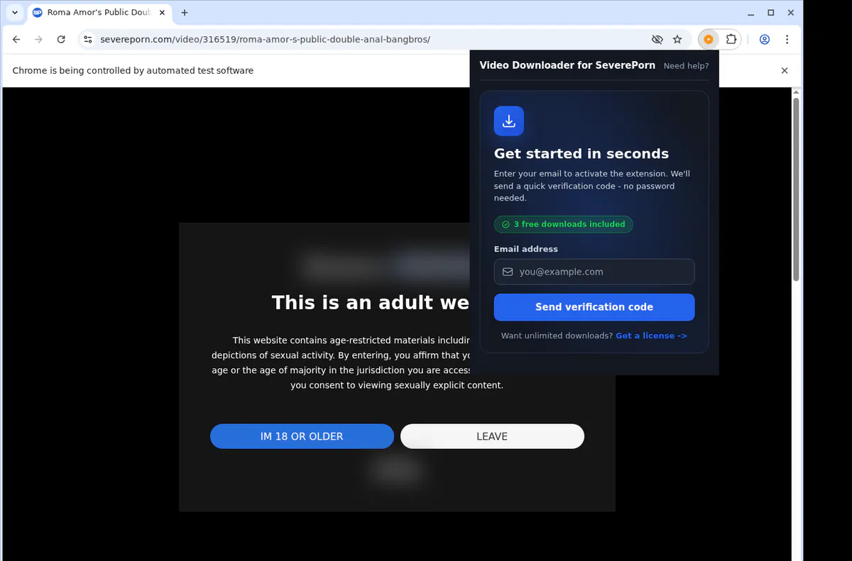 Severeporn Video Downloader browser extension screenshot 5